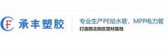 陜西承豐塑料廠廢氣治理案例